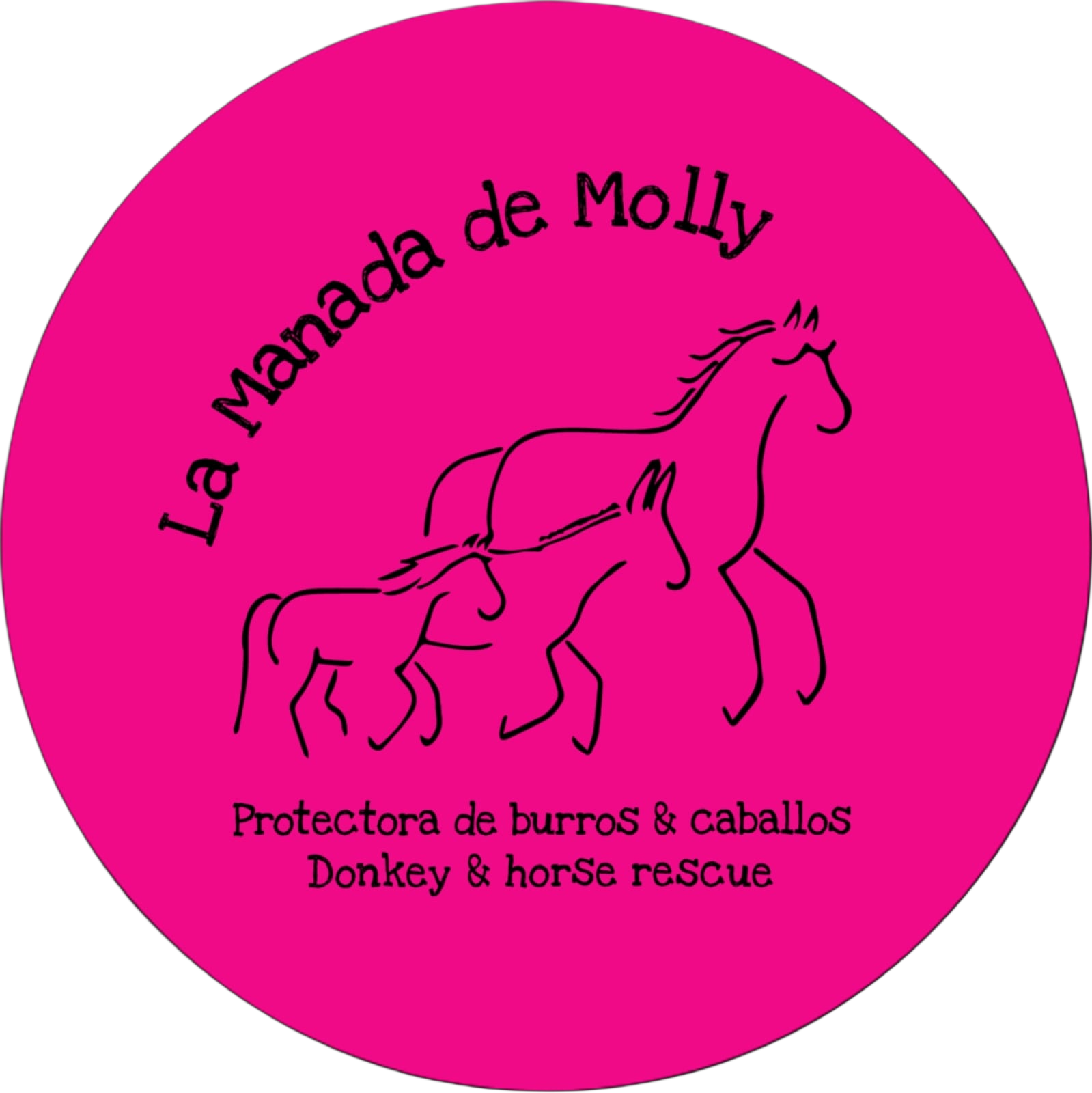 La Manada de Molly